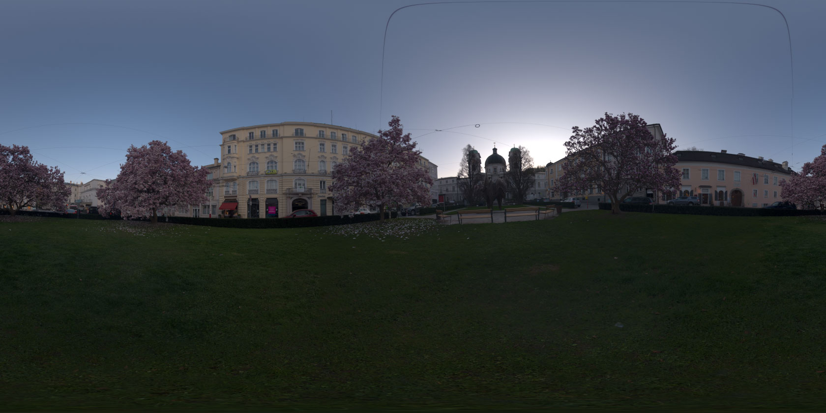 HDRI / 360° Magnolia trees blooming in the city | Openfootage