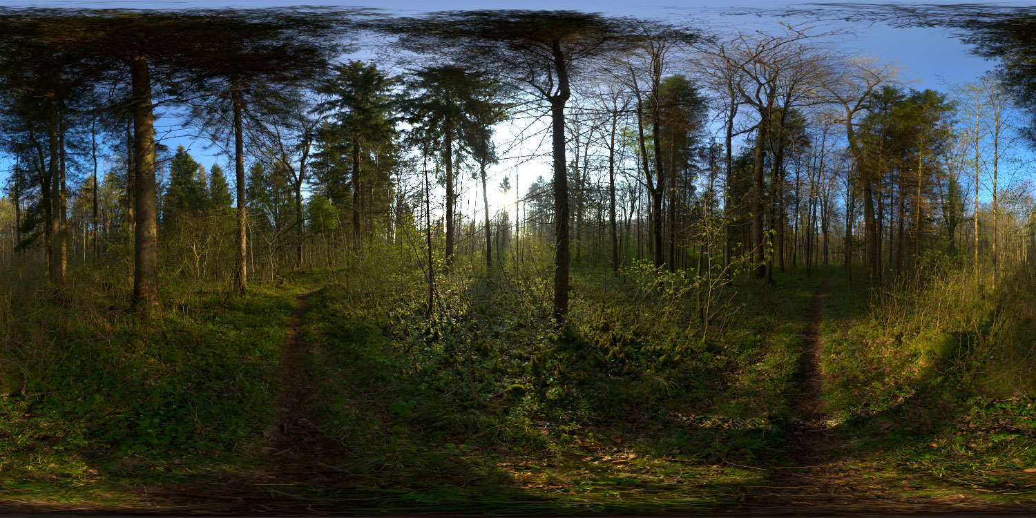 Hdri карта лес
