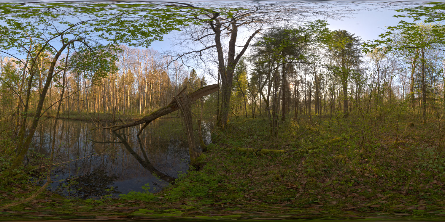 360 Nature Photo