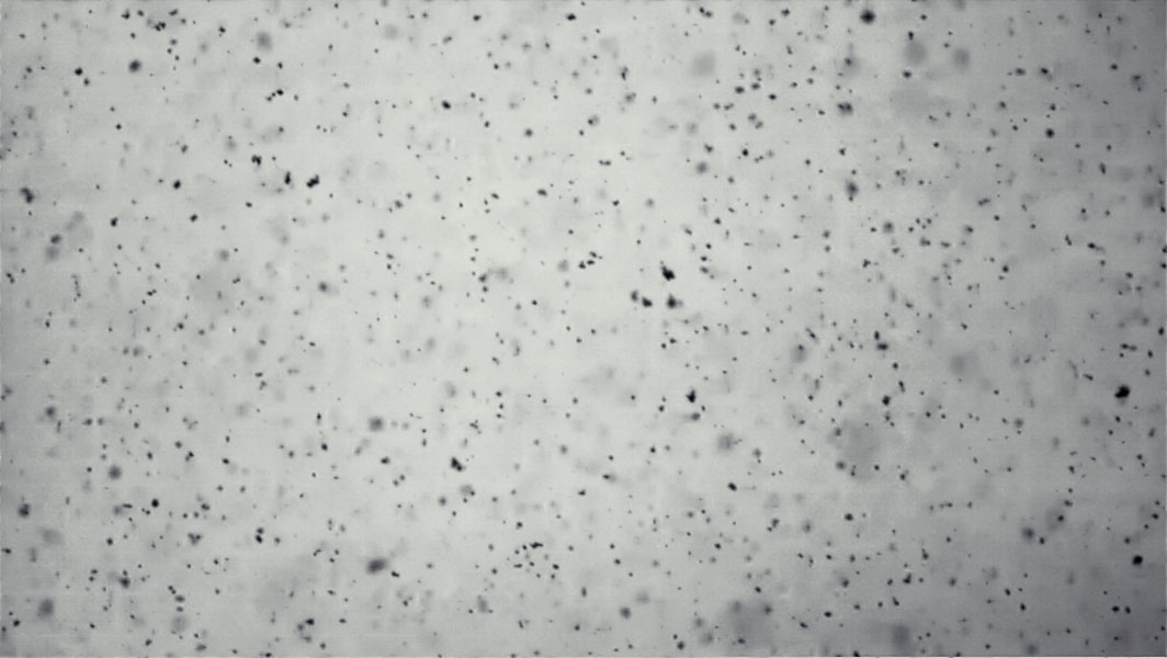 Slowmotion ash falling Openfootage