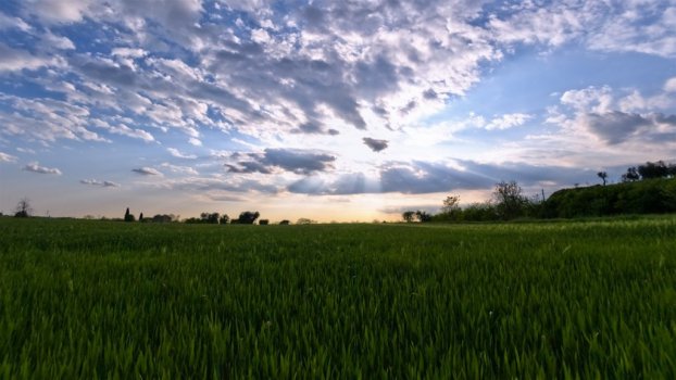 Timelapse sunset field italy