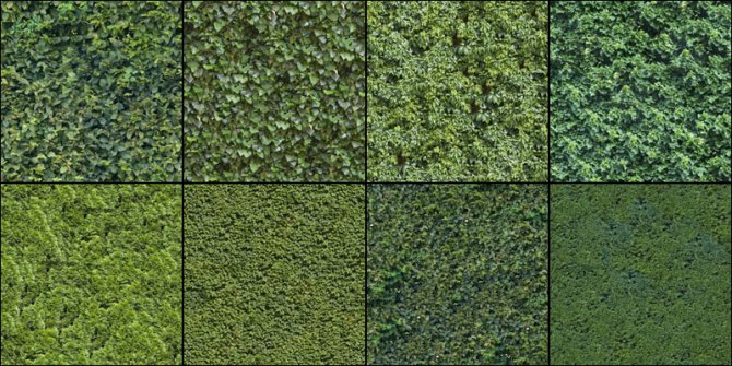 Hedge texture pack