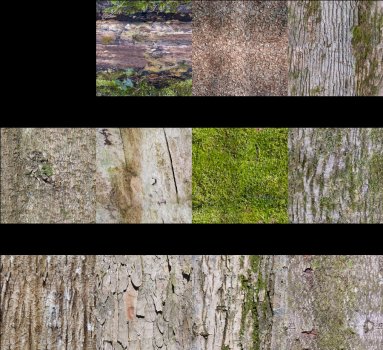 bark textures