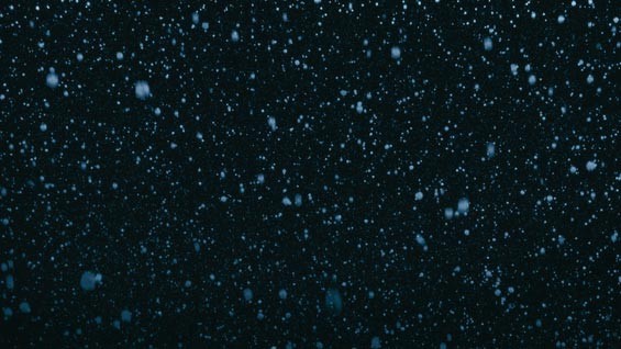 Snowfall