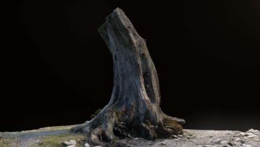 3d model stump