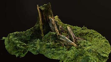 3d model stump 2