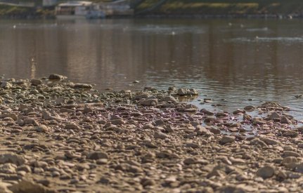 00329_OpenfootageNET_Salzach_0013