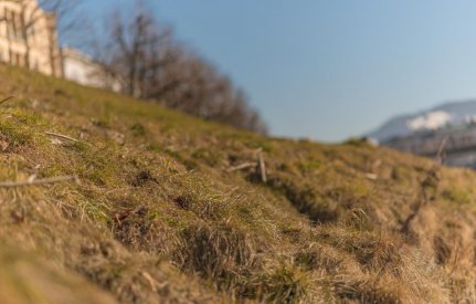 00329_OpenfootageNET_Salzach_0016