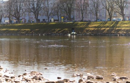 00329_OpenfootageNET_Salzach_0020
