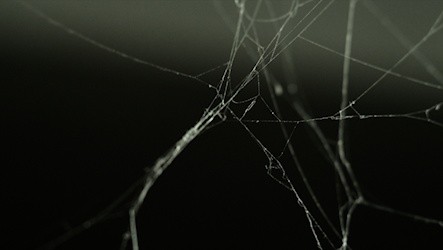 Abstract backgrounds clips