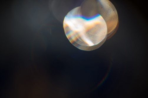 00338_OpenfootageNET_PhotosSpring_JPG0029