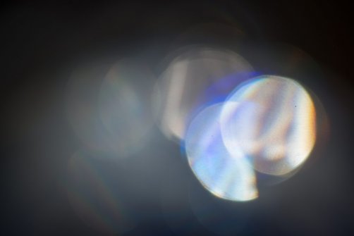 00338_OpenfootageNET_PhotosSpring_JPG0030