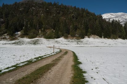 00367_OpenfootageNET_Colorchart_0008