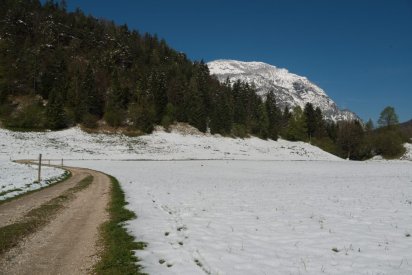 00367_OpenfootageNET_Colorchart_0009