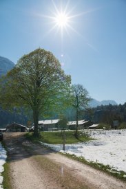 00367_OpenfootageNET_Colorchart_0013