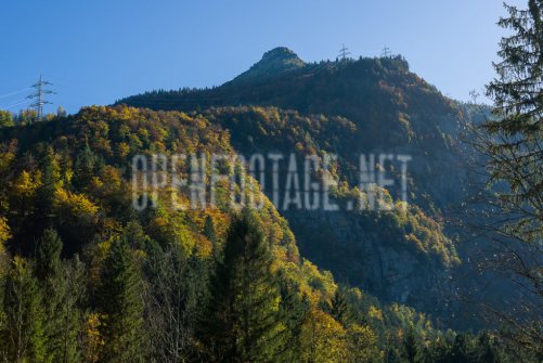 00424_OpenfootageNET_autumn_Preview_ (1 von 91)