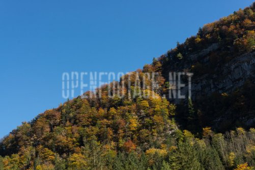 00424_OpenfootageNET_autumn_Preview_ (10 von 91)