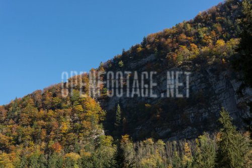 00424_OpenfootageNET_autumn_Preview_ (12 von 91)