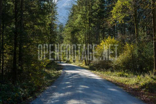 00424_OpenfootageNET_autumn_Preview_ (13 von 91)