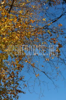 00424_OpenfootageNET_autumn_Preview_ (16 von 91)
