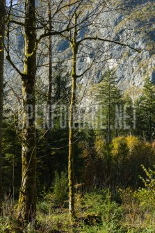 00424_OpenfootageNET_autumn_Preview_ (17 von 91)