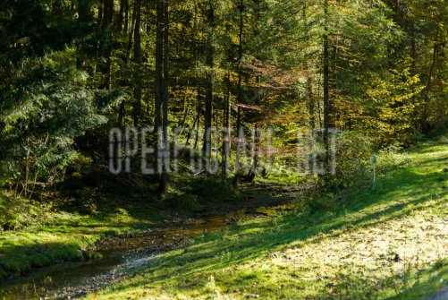 00424_OpenfootageNET_autumn_Preview_ (2 von 91)