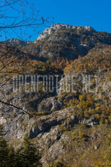 00424_OpenfootageNET_autumn_Preview_ (21 von 91)