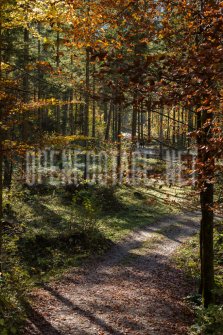 00424_OpenfootageNET_autumn_Preview_ (23 von 91)
