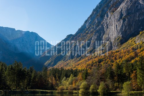 00424_OpenfootageNET_autumn_Preview_ (26 von 91)