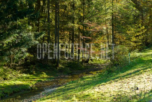 00424_OpenfootageNET_autumn_Preview_ (3 von 91)