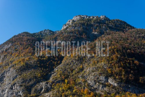 00424_OpenfootageNET_autumn_Preview_ (4 von 91)