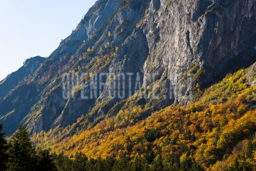 00424_OpenfootageNET_autumn_Preview_ (46 von 91)