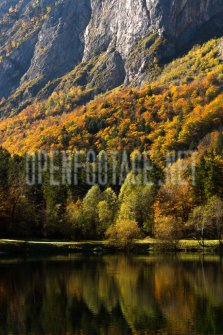 00424_OpenfootageNET_autumn_Preview_ (47 von 91)