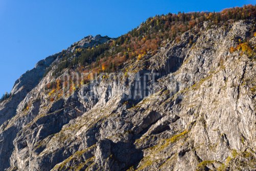 00424_OpenfootageNET_autumn_Preview_ (49 von 91)