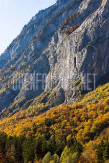 00424_OpenfootageNET_autumn_Preview_ (51 von 91)