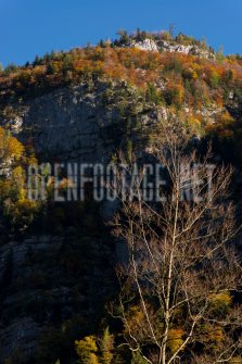 00424_OpenfootageNET_autumn_Preview_ (52 von 91)