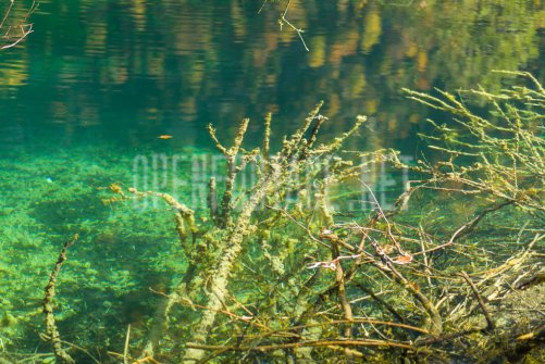 00424_OpenfootageNET_autumn_Preview_ (54 von 91)