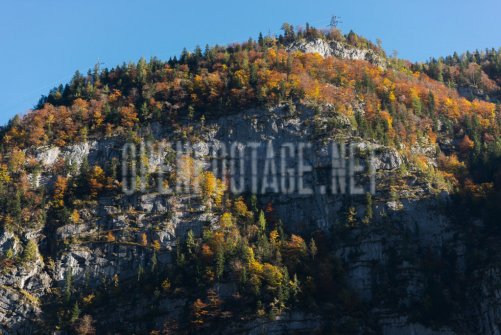 00424_OpenfootageNET_autumn_Preview_ (55 von 91)