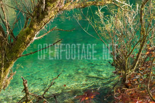 00424_OpenfootageNET_autumn_Preview_ (56 von 91)