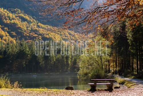 00424_OpenfootageNET_autumn_Preview_ (57 von 91)