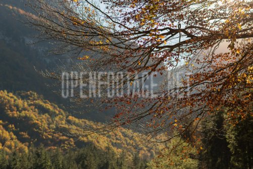 00424_OpenfootageNET_autumn_Preview_ (58 von 91)