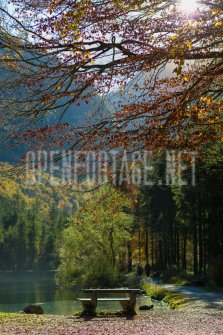 00424_OpenfootageNET_autumn_Preview_ (59 von 91)