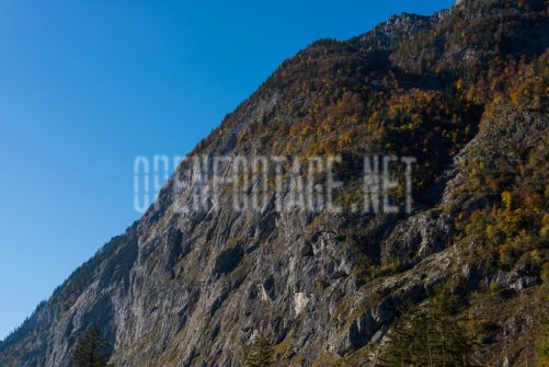 00424_OpenfootageNET_autumn_Preview_ (6 von 91)