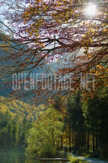 00424_OpenfootageNET_autumn_Preview_ (60 von 91)