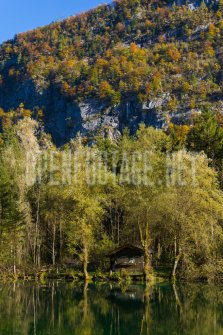 00424_OpenfootageNET_autumn_Preview_ (61 von 91)