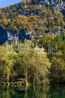 00424_OpenfootageNET_autumn_Preview_ (62 von 91)