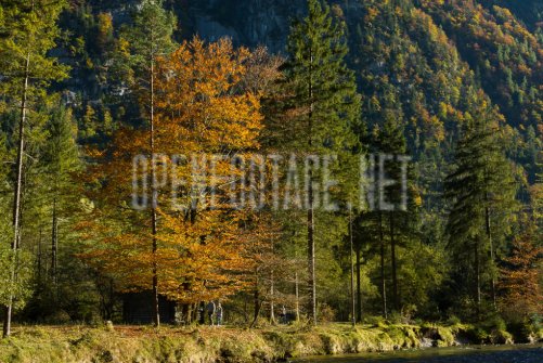 00424_OpenfootageNET_autumn_Preview_ (64 von 91)
