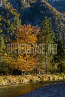 00424_OpenfootageNET_autumn_Preview_ (65 von 91)