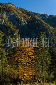 00424_OpenfootageNET_autumn_Preview_ (66 von 91)