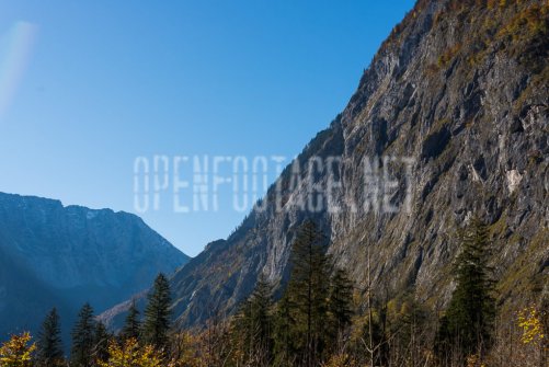 00424_OpenfootageNET_autumn_Preview_ (7 von 91)